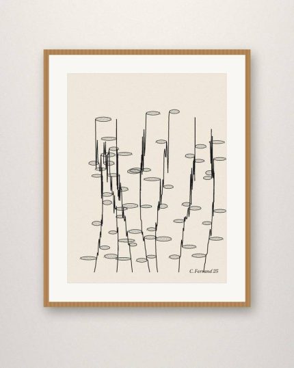 Herbier